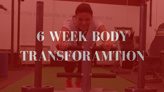 6 Week Body Transformation